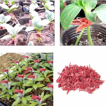 100 adet Dayanıklı Plastik Aşılama Klipleri Bahçe Sebze Çiçek Çalılar Bitkiler